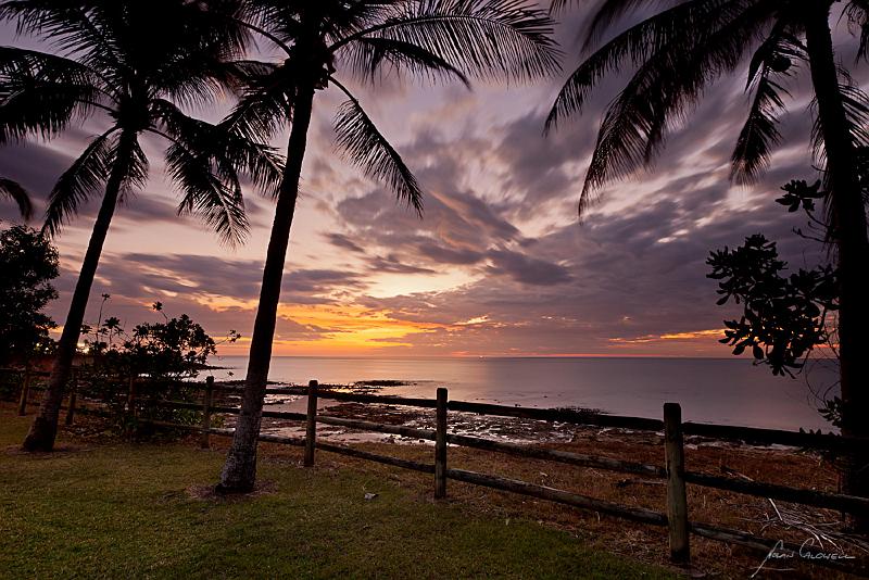 20120715-_MG_8629.jpg - Coconuts at Sunset, Nightcliff, Darwin, NT